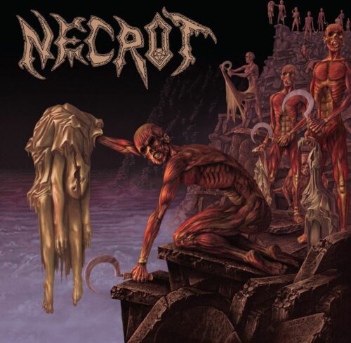 Necrot Mortal CD standard