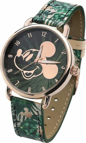 Mickey & Minnie Mouse Micky Náramkové hodinky vícebarevný