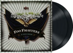 Foo Fighters In your honor 2-LP standard