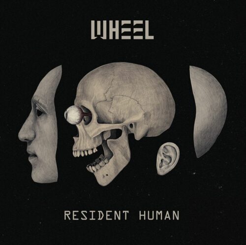 Wheel Resident human CD standard