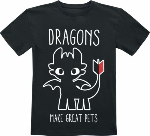 Drachenzähmen leicht gemacht Dragons Make Great Pets detské tricko černá