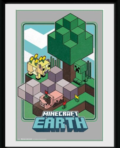 Minecraft Earth - Vintage Zarámovaný obraz standard