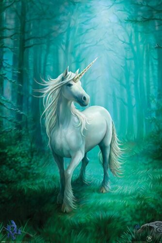 Anne Stokes Forest Unicorn plakát vícebarevný