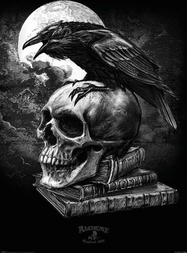 Alchemy England Poe's Raven plakát cerná/bílá