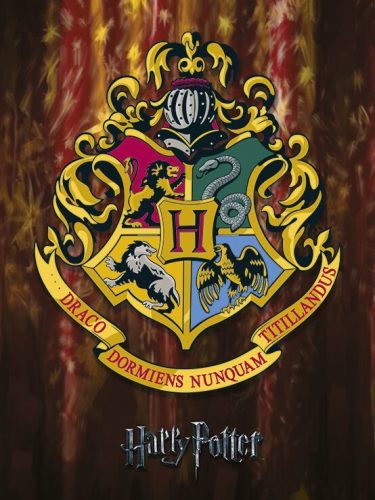 Harry Potter Hogwarts Crest tisk na plátne standard