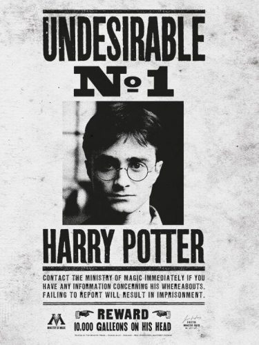 Harry Potter Undesirable No.1 tisk na plátne standard