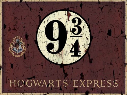Harry Potter Hogwarts Express 9 3/4 tisk na plátne standard