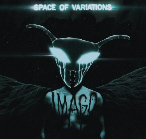 Space Of Variations Imago LP standard