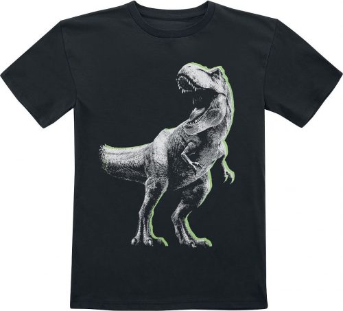 Jurassic Park Kids - T-Rex detské tricko černá
