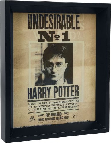 Harry Potter 3D obrázek Potter / Sirius Zarámovaný obraz vícebarevný
