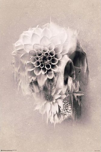 Ali Gülec Decay Skull plakát cerná/bílá