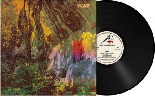 WAKE Thought form descent LP standard
