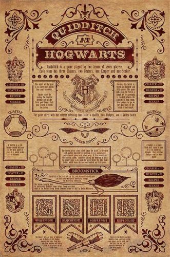 Harry Potter Quidditch at Hogwarts plakát vícebarevný