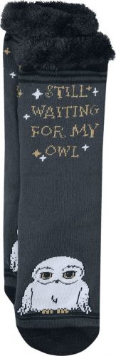 Harry Potter Hedwig Ponožky vícebarevný