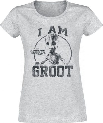 Strážci galaxie I Am Groot Dámské tričko šedý vres