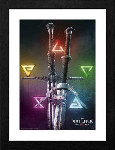 The Witcher Signs & Swords Zarámovaný obraz standard