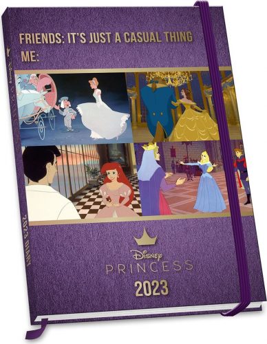 Disney Princess A5 Kalenderbuch 2023 Diář vícebarevný