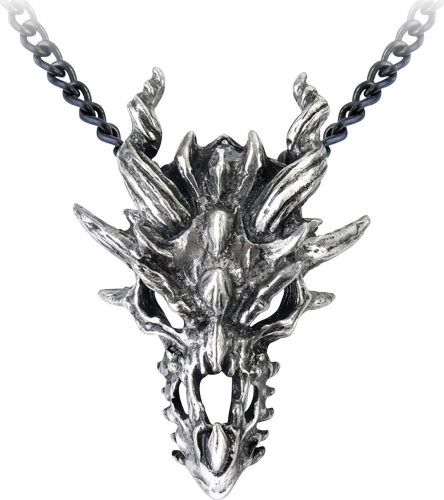Alchemy Gothic Dragon Skull Náhrdelník - řetízek stríbrná