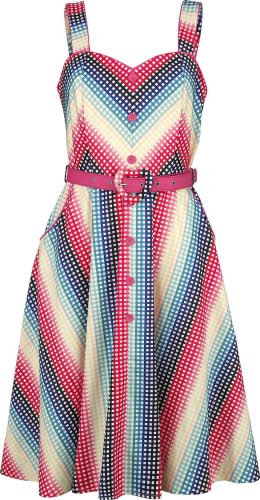 Voodoo Vixen Šaty s rozšírenou suknou Serene Rainbow Gingham Šaty vícebarevný