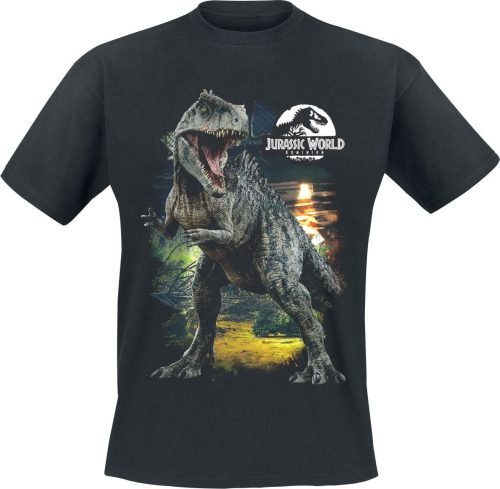Jurassic Park Jurassic World - Dinosaur Classis Tričko černá
