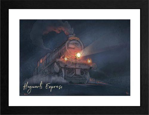 Harry Potter Hogwarts Express Zarámovaný obraz standard