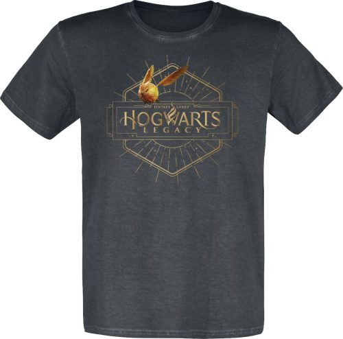 Harry Potter Hogwarts Legacy Tričko vícebarevný