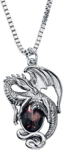 Gothicana by EMP Dragon Stone Náhrdelník - řetízek stríbrná