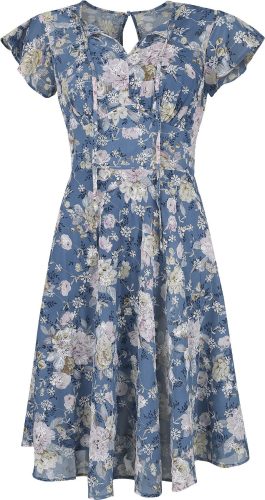 Voodoo Vixen Šifónové šaty s krátkými rukávy Floral Emb Šaty vícebarevný