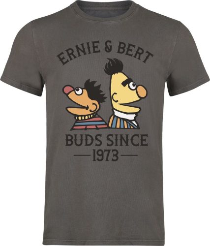 Sesame Street Ernie und Bert - Bros Since 1973 Tričko šedá