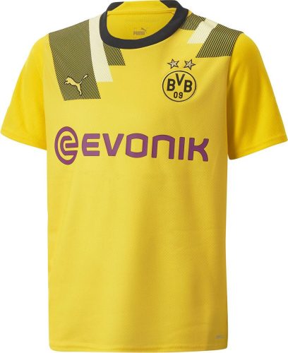 Borussia Dortmund Kids - Pokal Trikot 2022-23 detské tricko vícebarevný