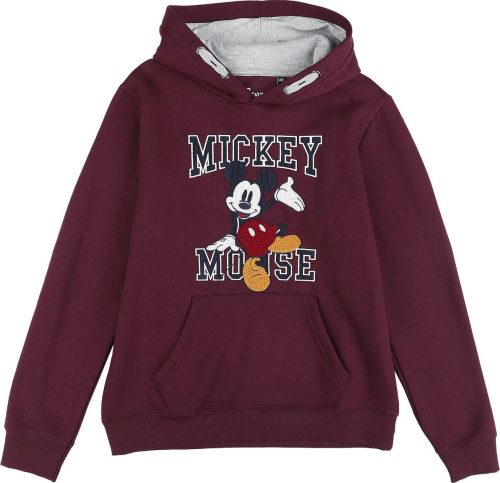 Mickey & Minnie Mouse Kids - Mickey detská mikina s kapucí vícebarevný