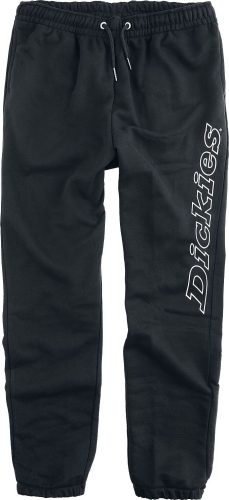 Dickies Volnočasové kalhoty Uniontown Kalhoty černá