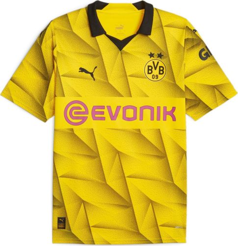 Borussia Dortmund Pohárový dres 2023/24 Dres pro fanoušky vícebarevný
