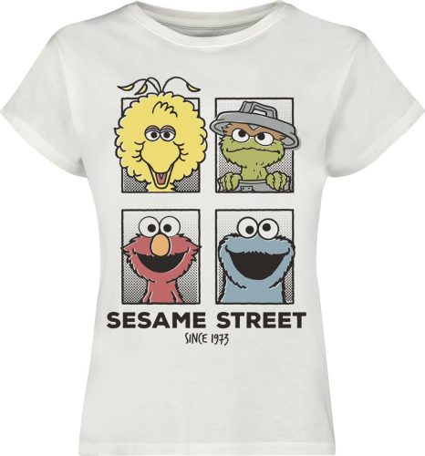 Sesame Street Friends Dámské tričko šedobílá