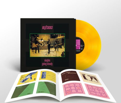 Buzzcocks Singles Going Steady (45th Anniversary Edition) LP standard